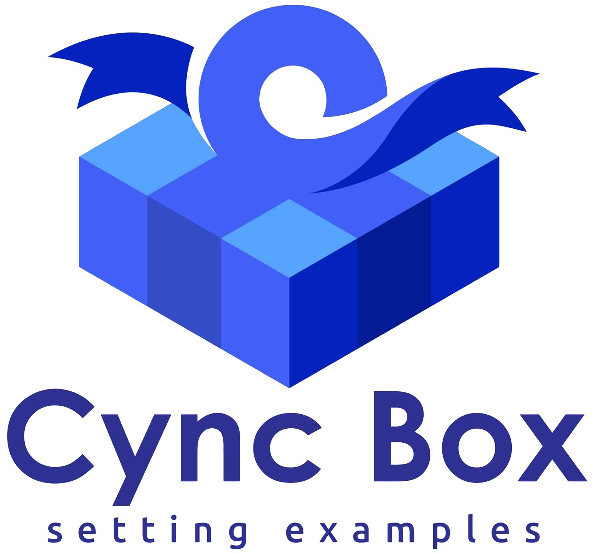 CYNC BOX